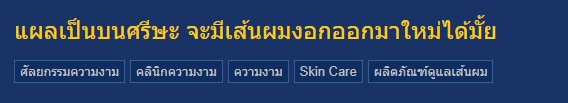 แผลเป็นบนหนังศีรษะ,รอยแผลเป็นที่หัว,ปลูกผม,รีวิวปลูกผม,ปลูกผมHairClinique,ปลูกผมSLC