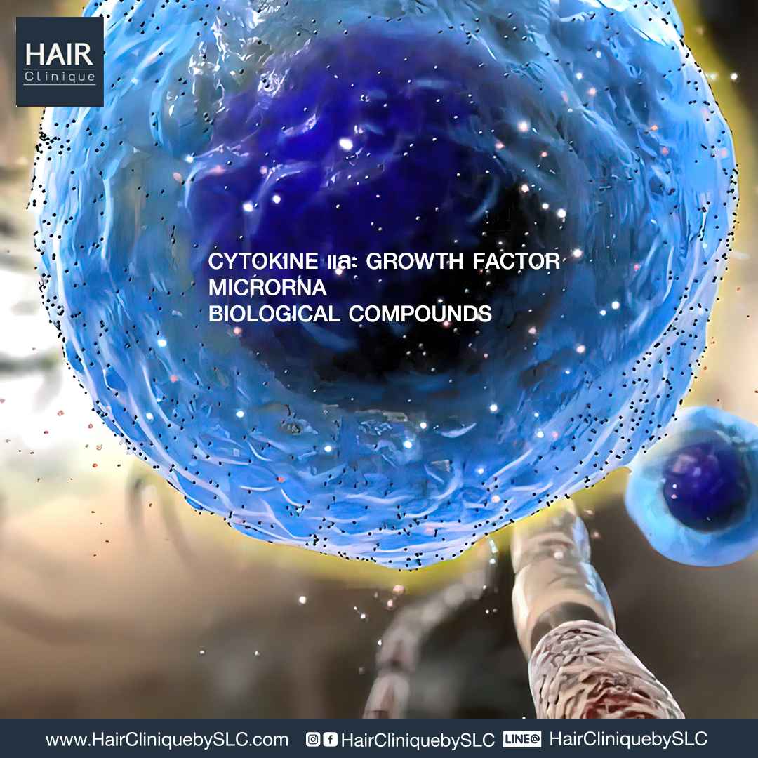 Exosome Hair Signature Formula™,ฉีด Exosome Hair SLC,Exosome