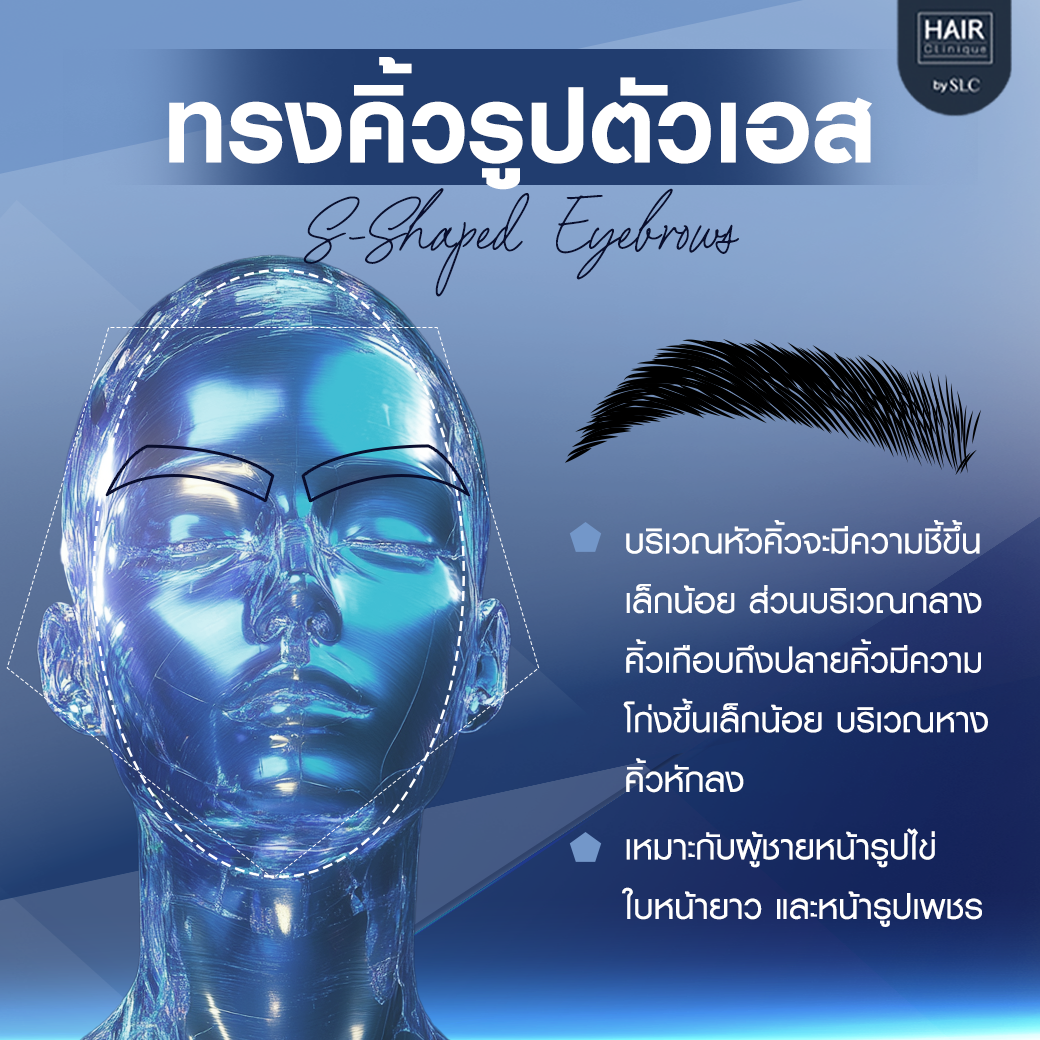 ทรงคิ้วรูปตัวเอส (S-Shaped Eyebrows)