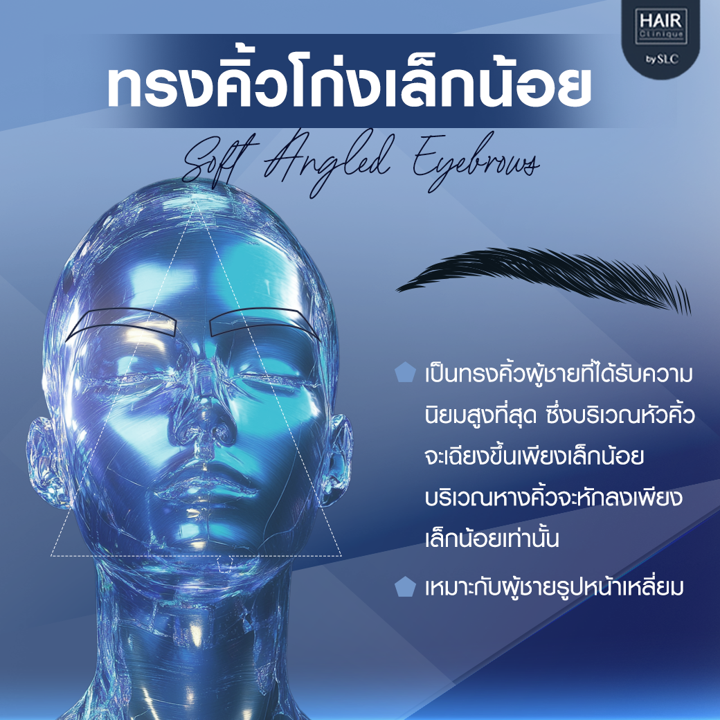 ทรงคิ้วโก่งเล็กน้อย (Soft Angled Eyebrows)