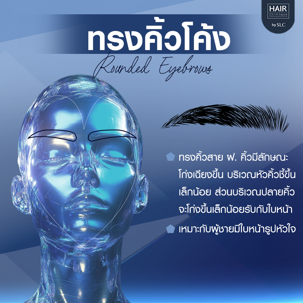 ทรงคิ้วโค้ง (Rounded Eyebrows)