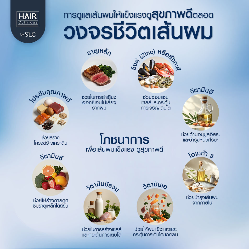 วงจรเส้นผม, ปลูกผม, ปลูกคิ้ว, รากผม, ผมร่วง, ผมบาง