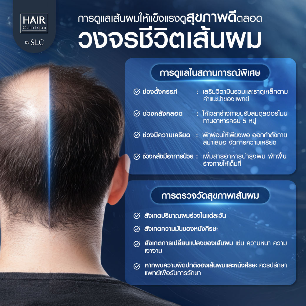 วงจรเส้นผม, ปลูกผม, ปลูกคิ้ว, รากผม, ผมร่วง, ผมบาง
