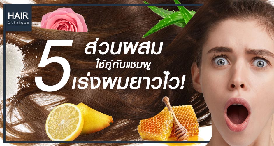 5 ส่วนผสมใช้คู่กับแชมพู