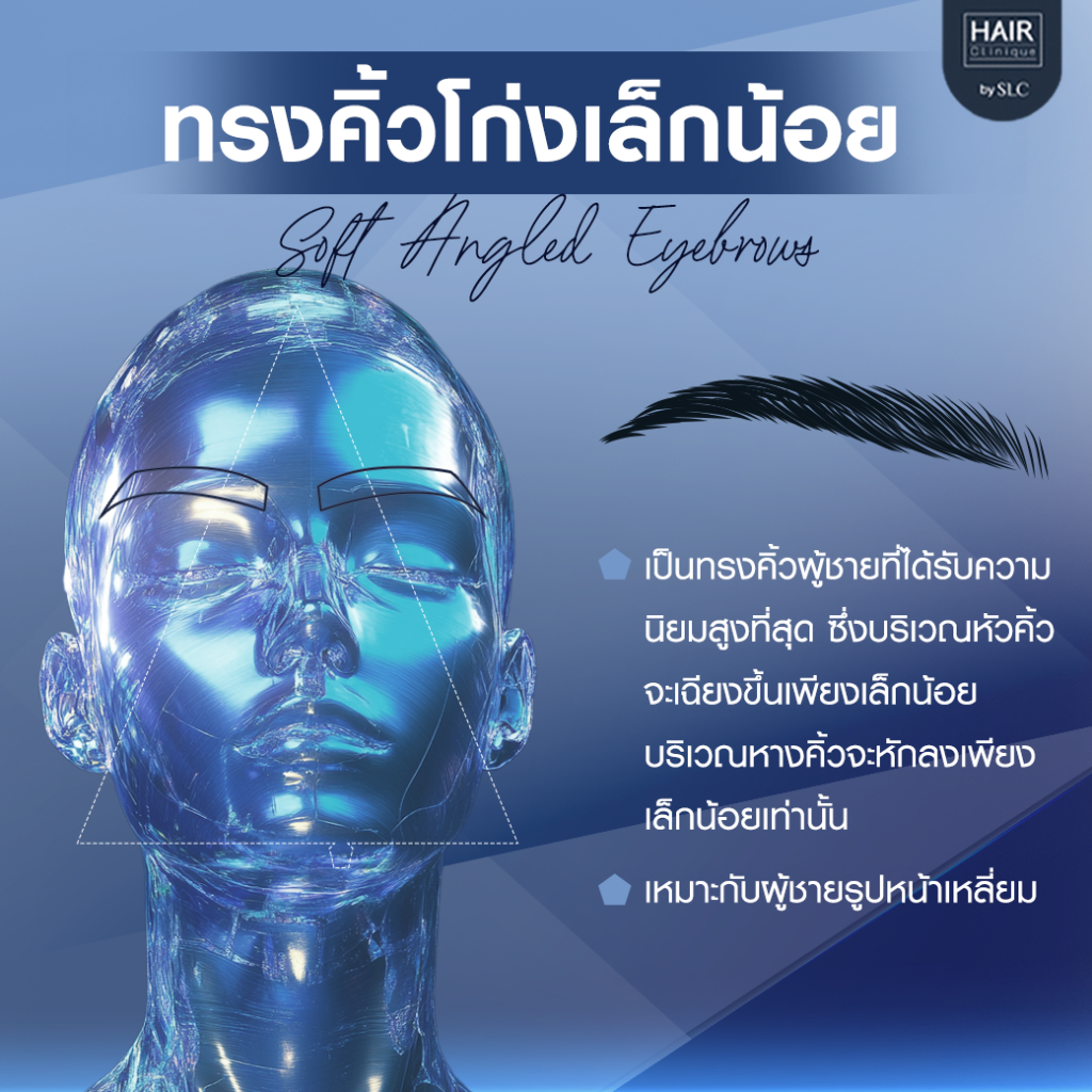 ทรงคิ้วโก่งเล็กน้อย (Soft Angled Eyebrows)